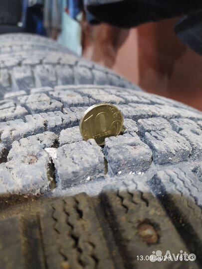 Dunlop Winter Maxx WM01 205/55 R16