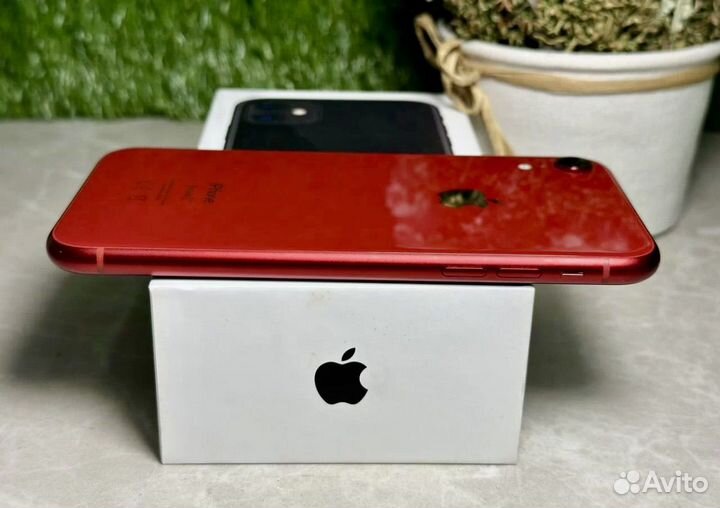 iPhone Xr, 128 ГБ