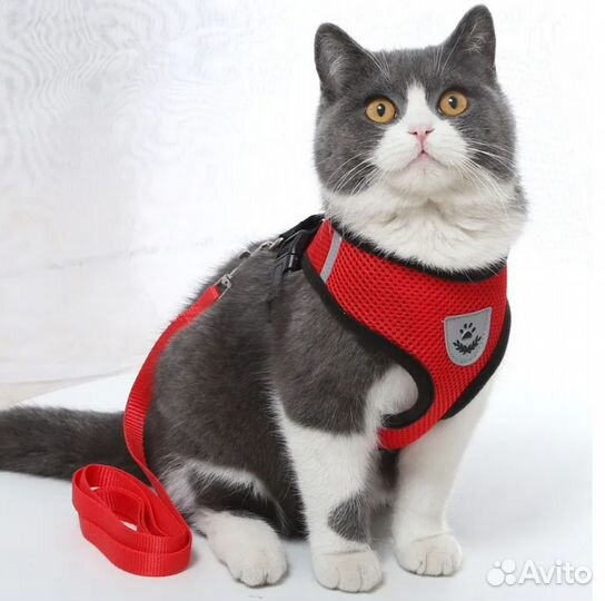Шлейка для кошек и собак L