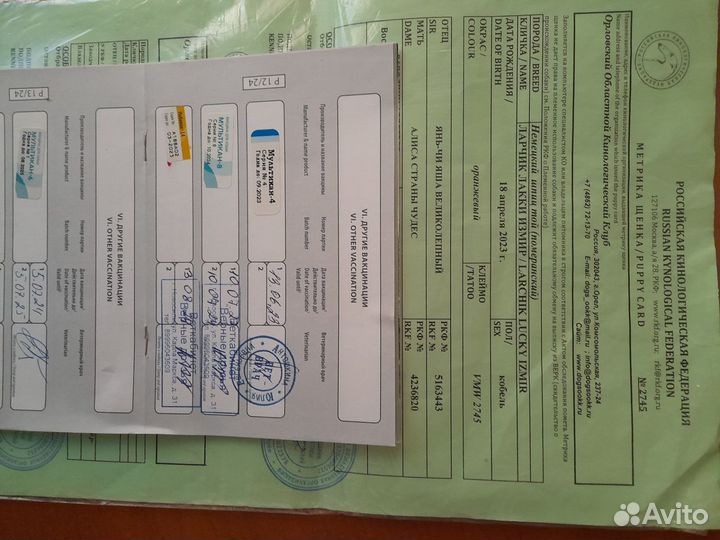 Молодой парень ищет девочку для знакомства