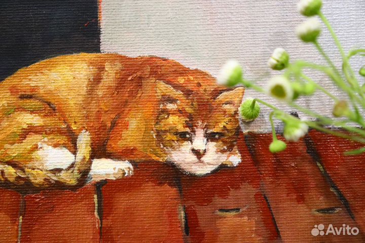 Задумчивый кот