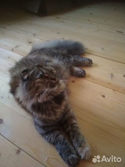 Добрая девочка