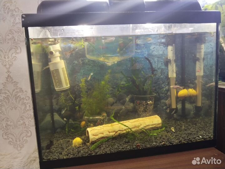Аквариум