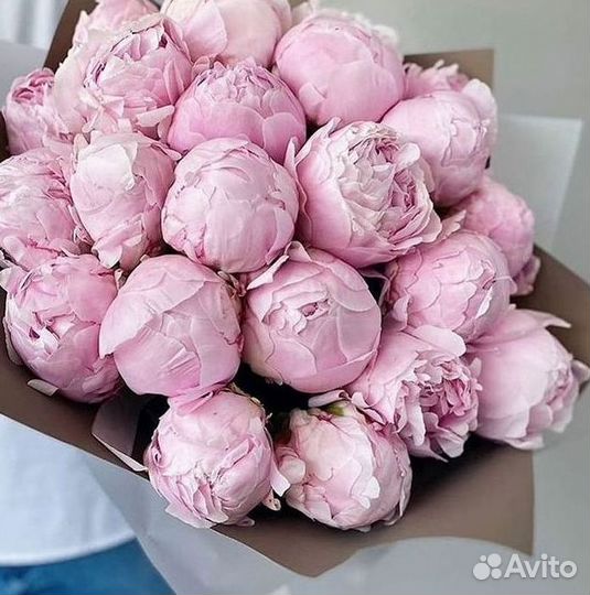 Пионы Букет пионов