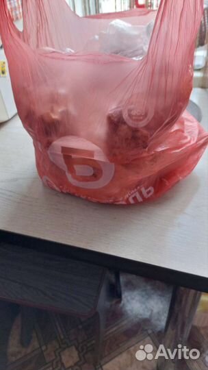 Пищевые отходы для собаки(Бесплатно)