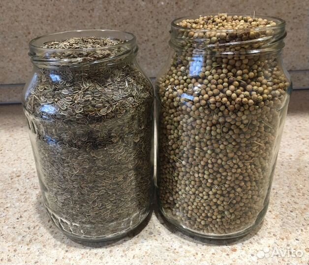 Семена Кинзы и Укропа