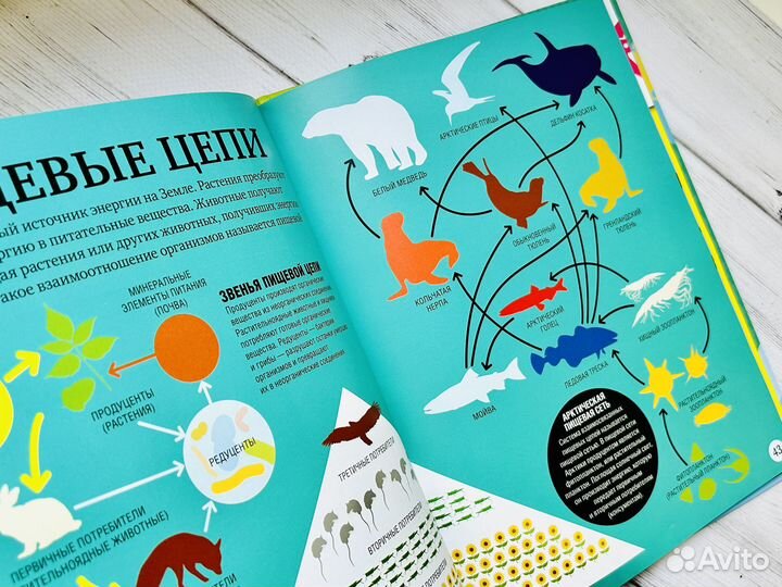 1000 удивительных фактов о планете Земля