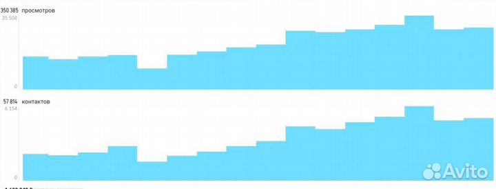 Авитолог продвижение