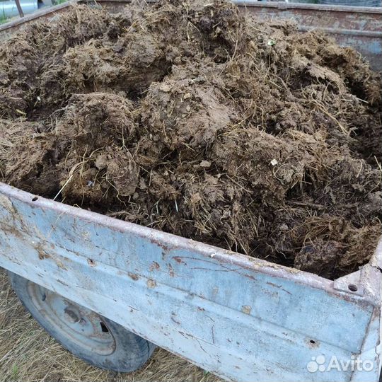 Навоз коровий