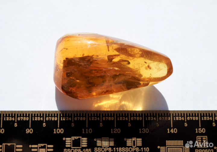 Натуральный балтийский янтарь с включением мухи