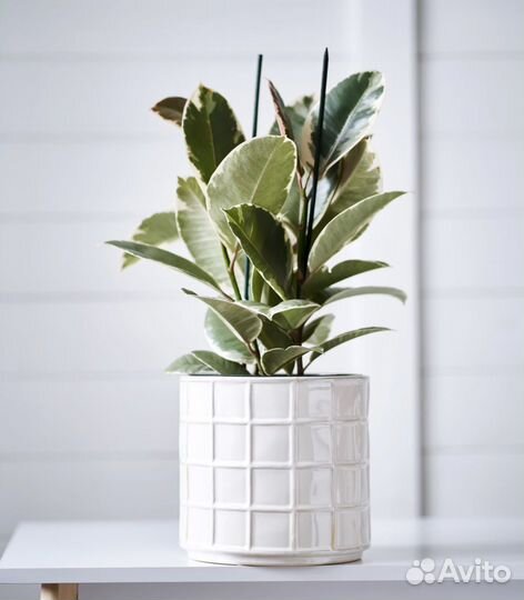 Кашпо горшок Пломбир/ Клетка