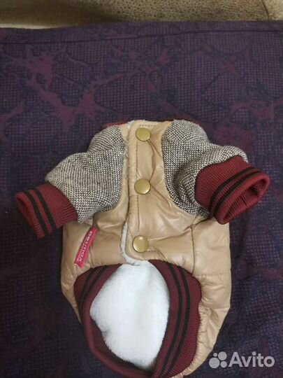 Курточка для собачки зимняя