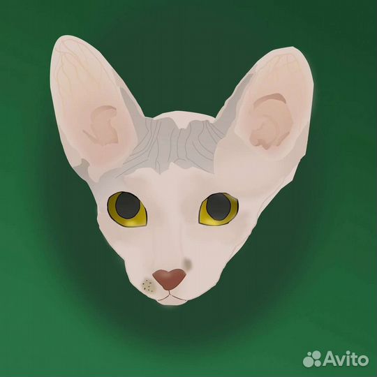 Графический дизайнер