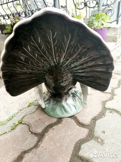 Большой глухарь