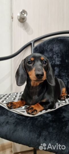 Крошечная девчушка