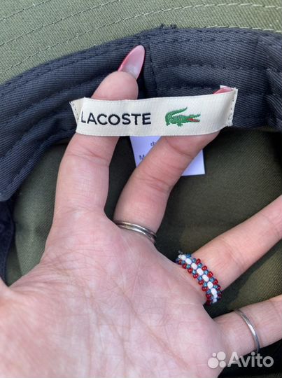 Панама lacoste