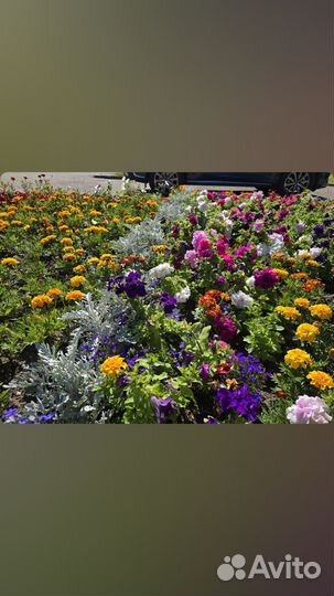 Укладка резиновой крошки