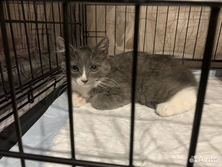 Дым в добрые руки