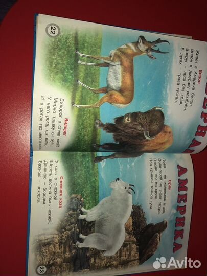 Книга о животных