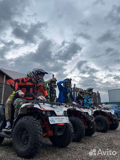 Игра в пейнтбол