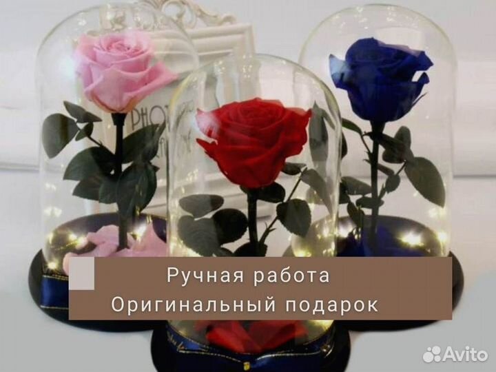 Роза в колбе