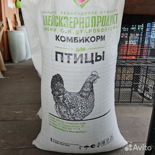 Корм для кур несушек