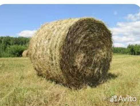 Сено в тюках