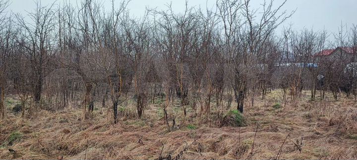 Участок 20 сот. (ИЖС)