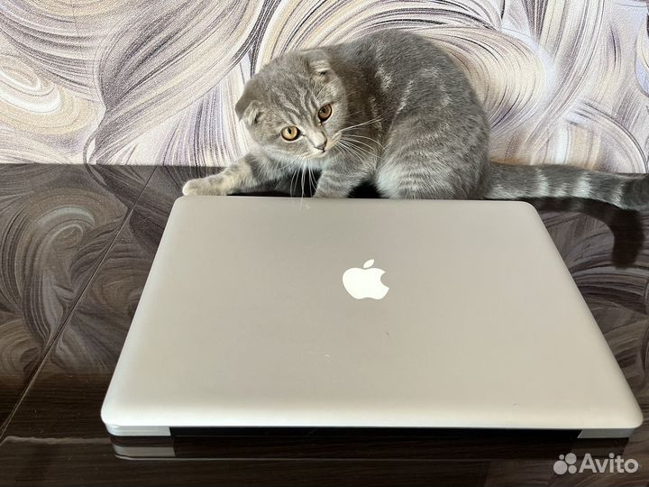 MacBook Pro (15 дюйма, середина 2010 г.)