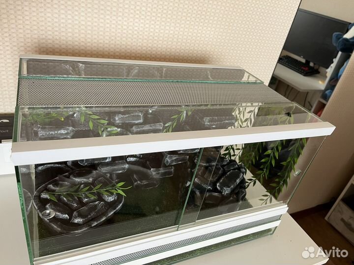Террариум для рептилий