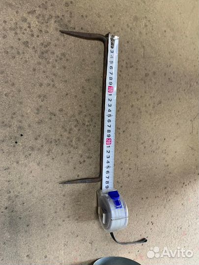 Фазан охотничий 2 летка. Самец