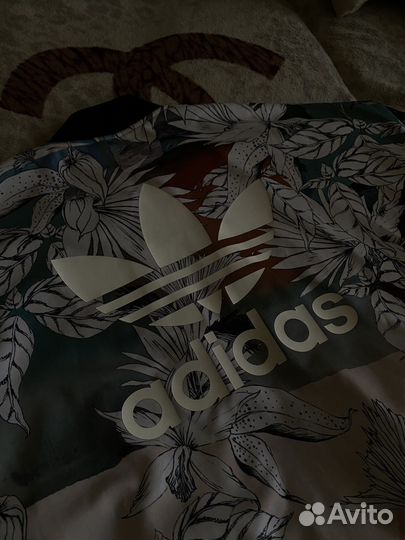 Мужская олимпийка adidas
