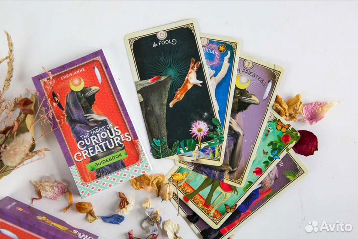 Таро Любопытных Существ Tarot Curious Creatures