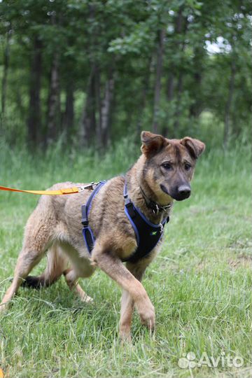 Хрупкая девочка грустит в приюте