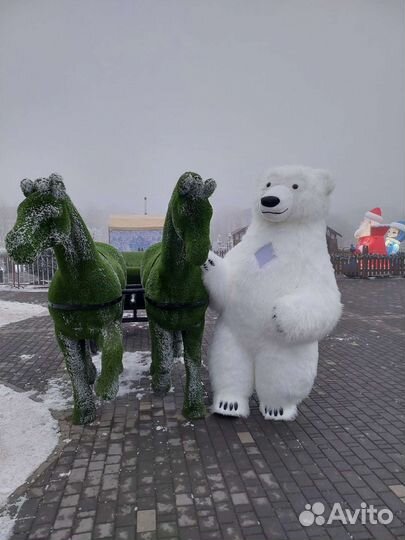 Белый мишка поздравление медведь аниматор