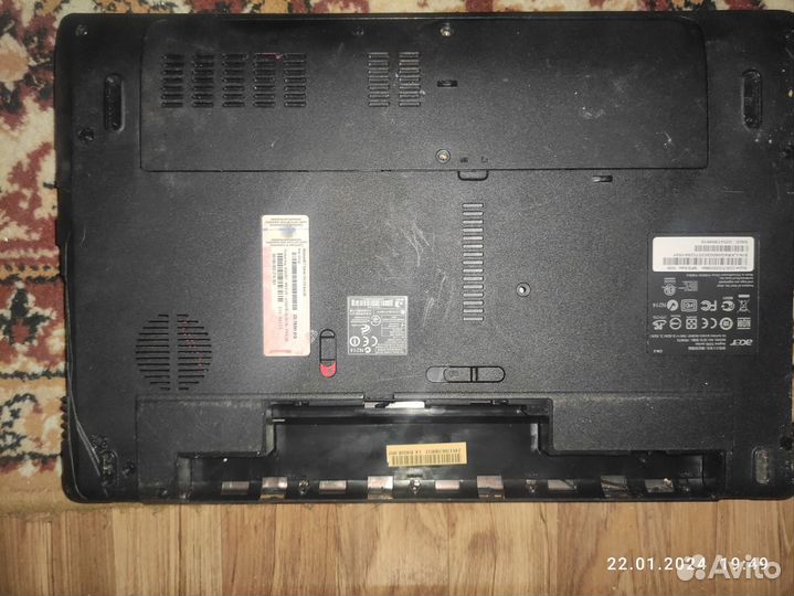 Acer