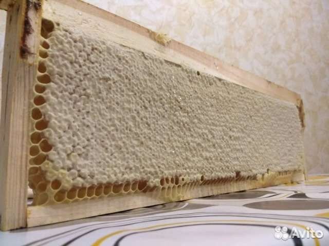 Мёд со своей пасеки