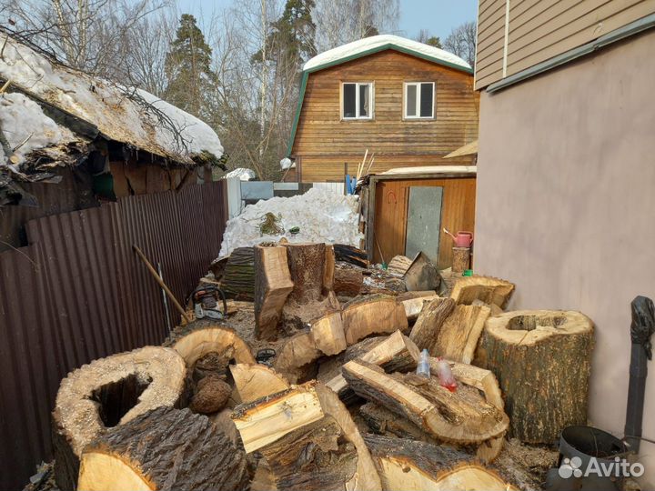 Расчистка участка. Спил дерева