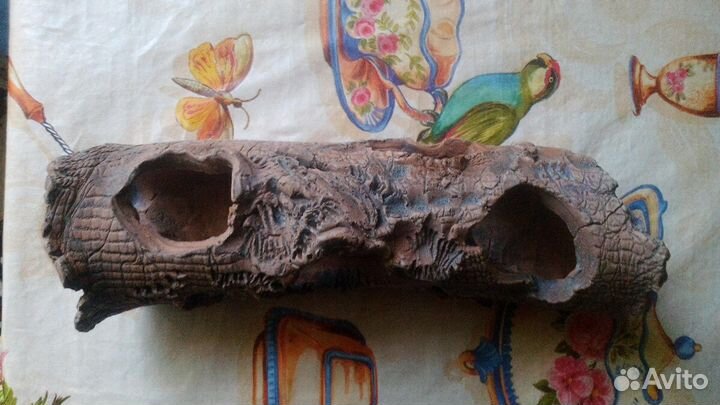 Для Аквариума