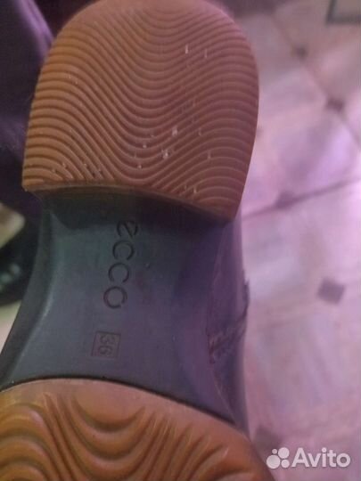 Сапоги женские Ecco