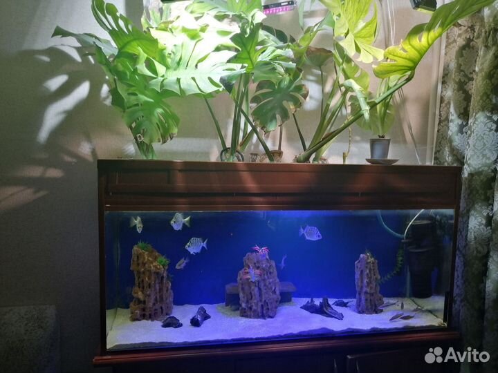 Аквариум 350 литров