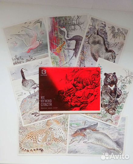 Открытки редкие