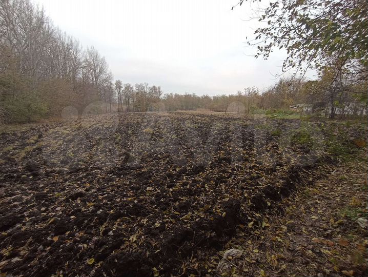 Участок 27 сот. (СНТ, ДНП)