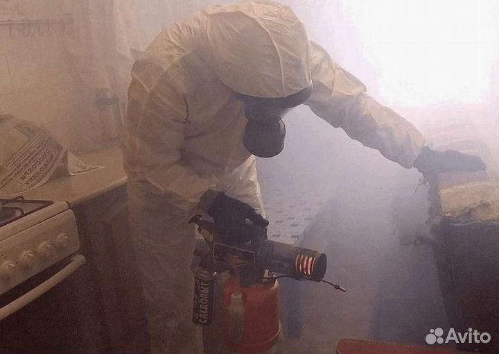 Средство против клопов