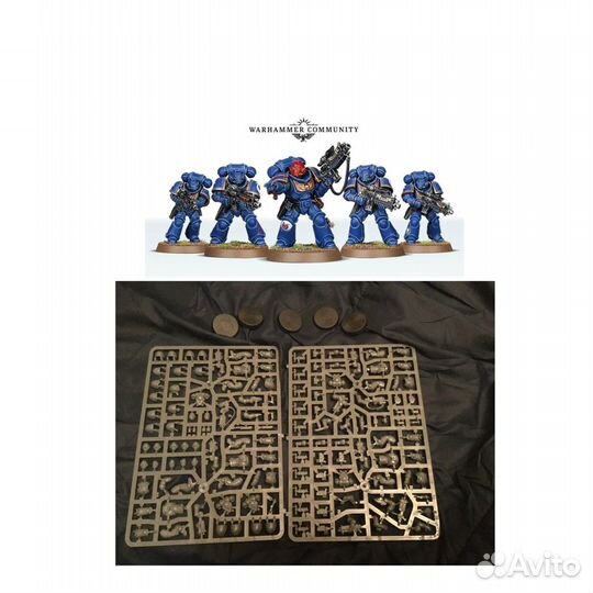 Warhammer 40000 Intercessors