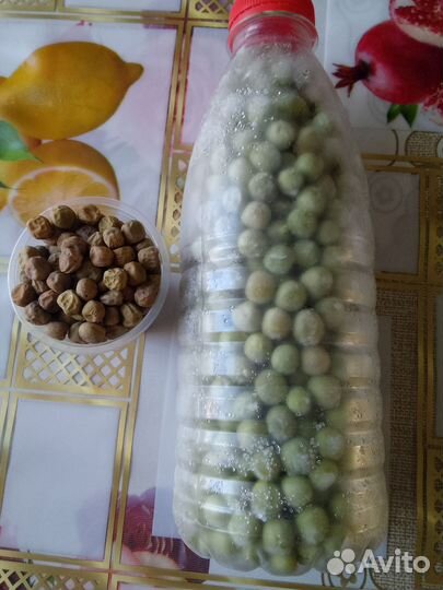 Семена гороха