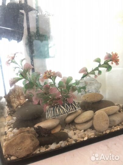 Аквариум с рыбками