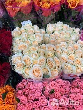 Букет роз 51 роза 101 роза розочки 25 роз розы с д