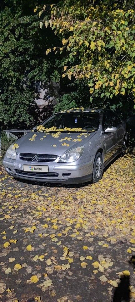 Citroen C5: фото владельца