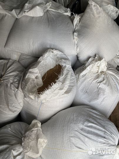 Зерно пшеница на ведро и в мешках, доставка